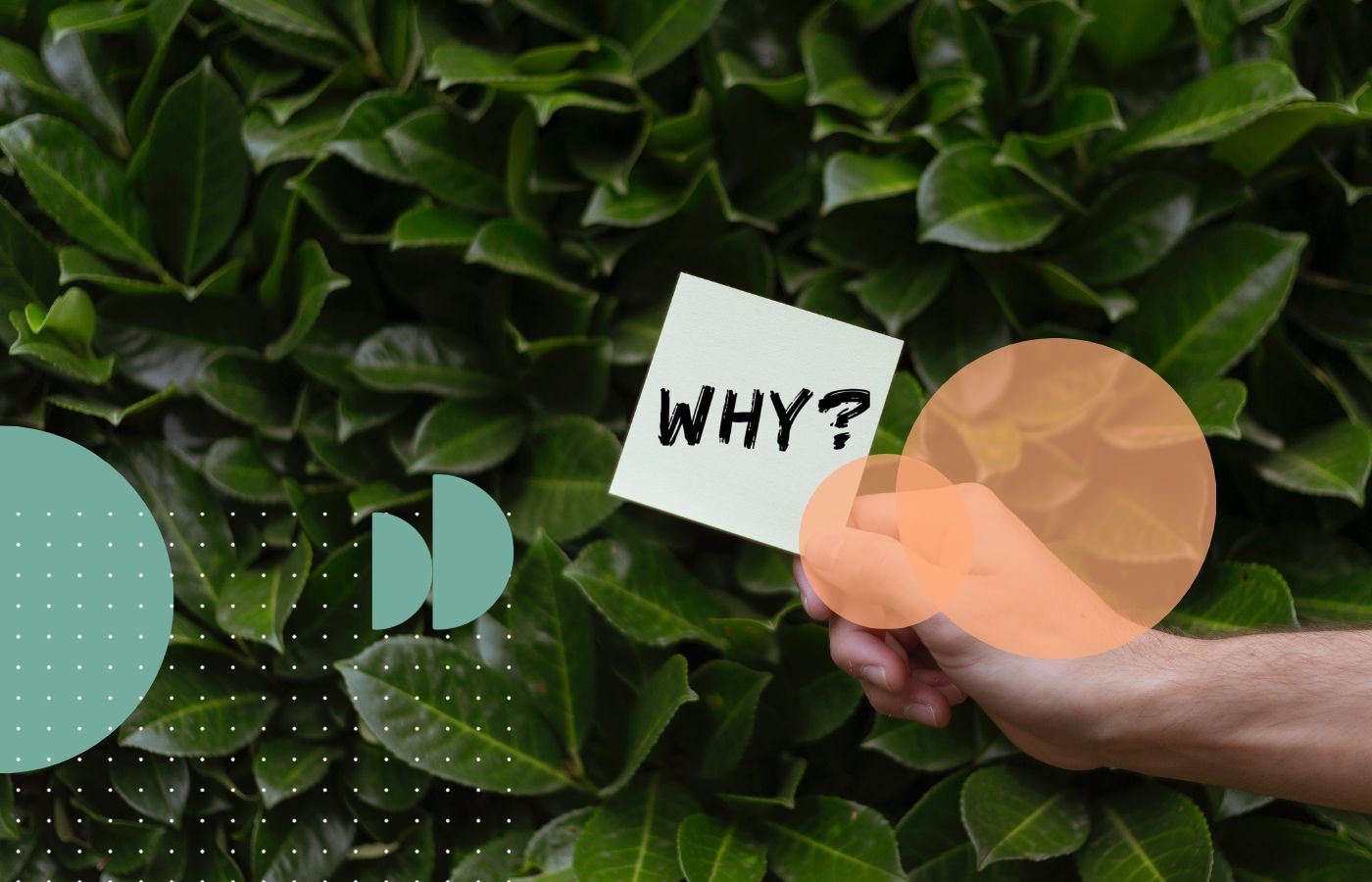 The-5-Whys-Article-Header