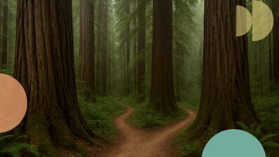career-path