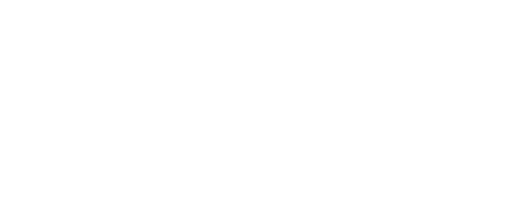 The Leadership Effect Logo