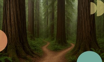 career-path