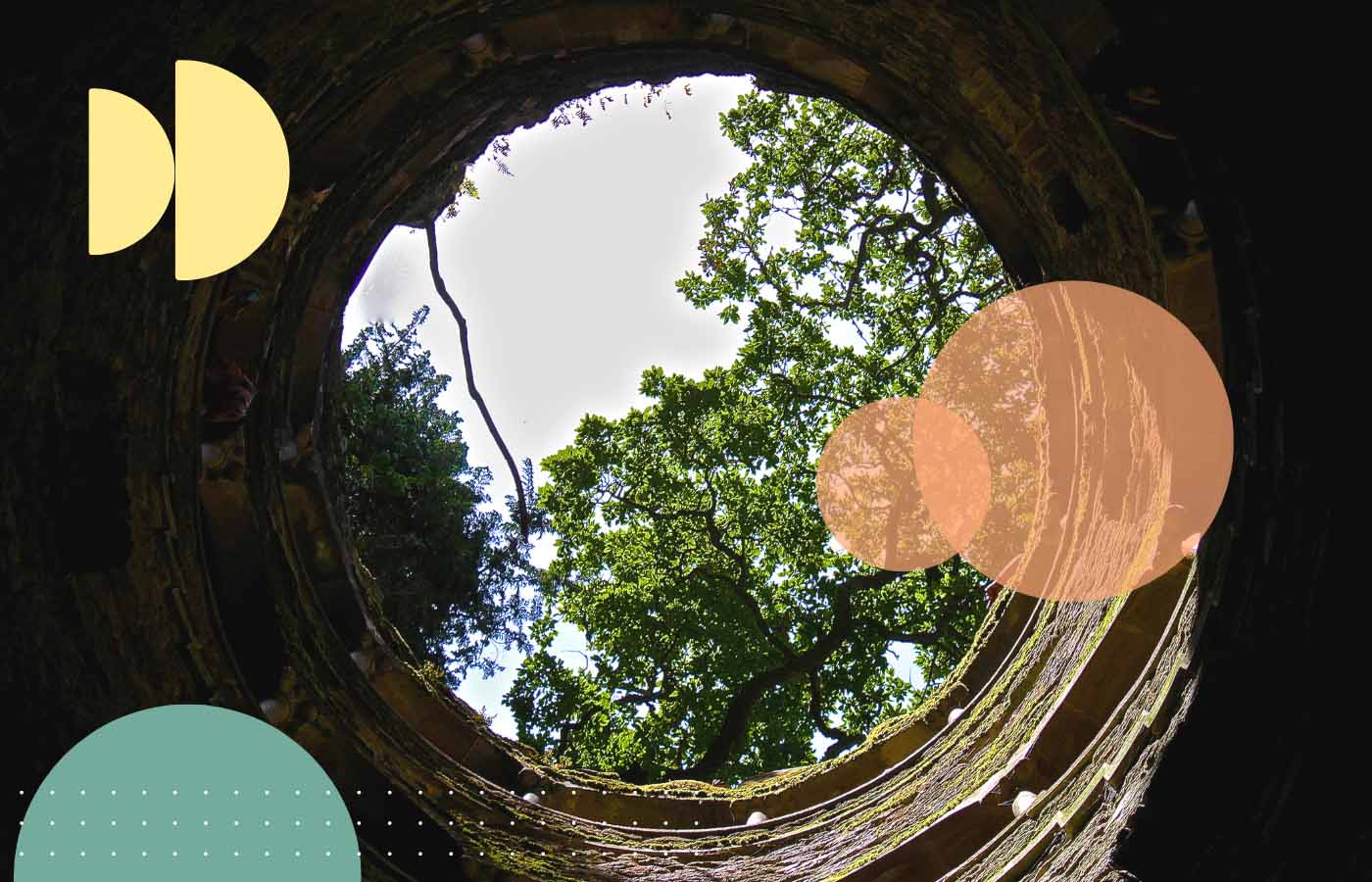 How Does “Where Accuracy Lives” Help Leadership?
